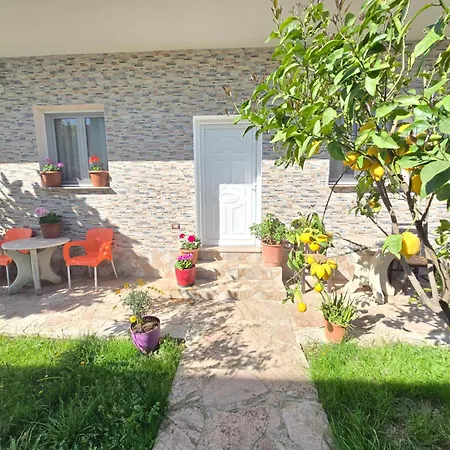 Daire Summer Tale Lezhë